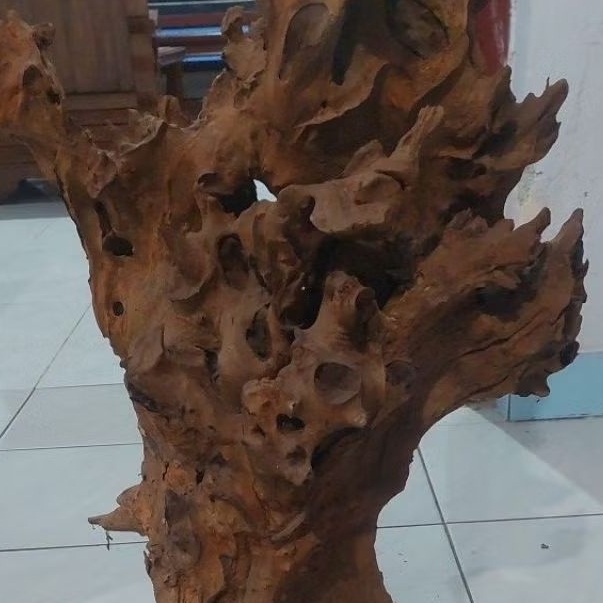 kayu fosil