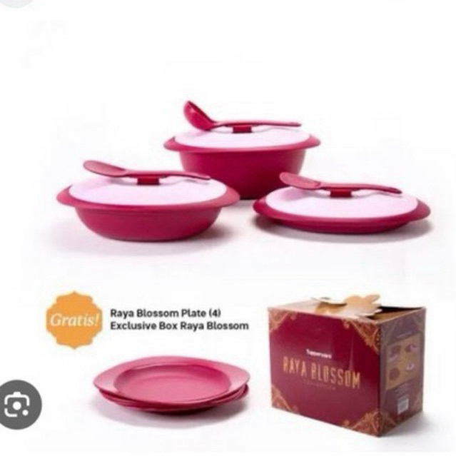 BLOSSOM  RAYA SET TUPPERWARE