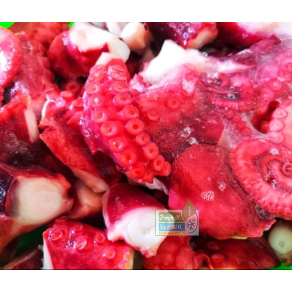 Gurita Tako Octopus Potong Matang Boiled