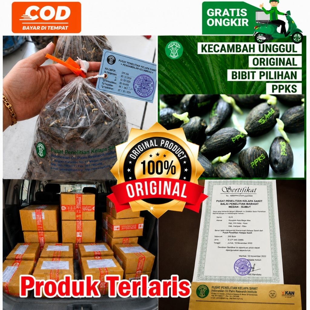 PPKS DXP 540 UNGGUL DAPAT SERTIFIKAT
