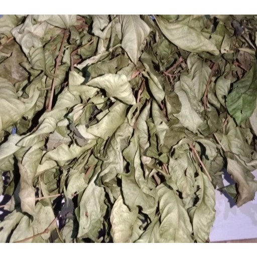 Daun Salam Kering 1 Kg / Daun Salam Kering