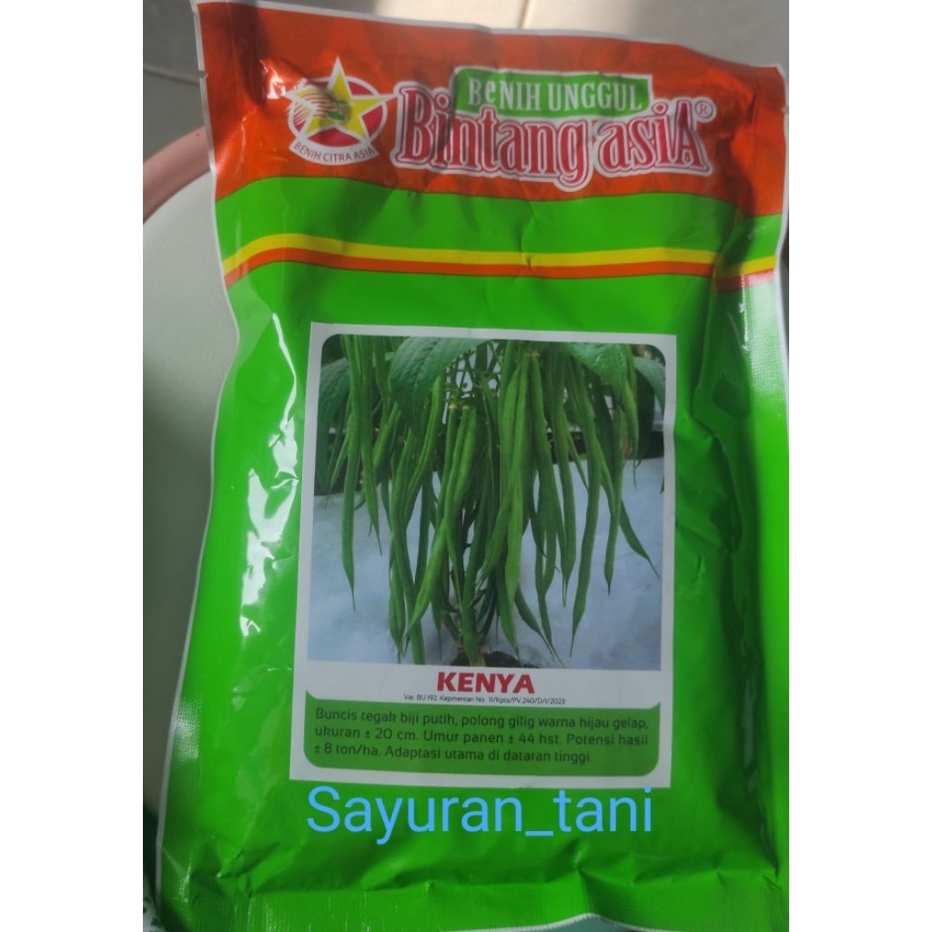 Benih Buncis KENYA 500 Gram Bintang Asia