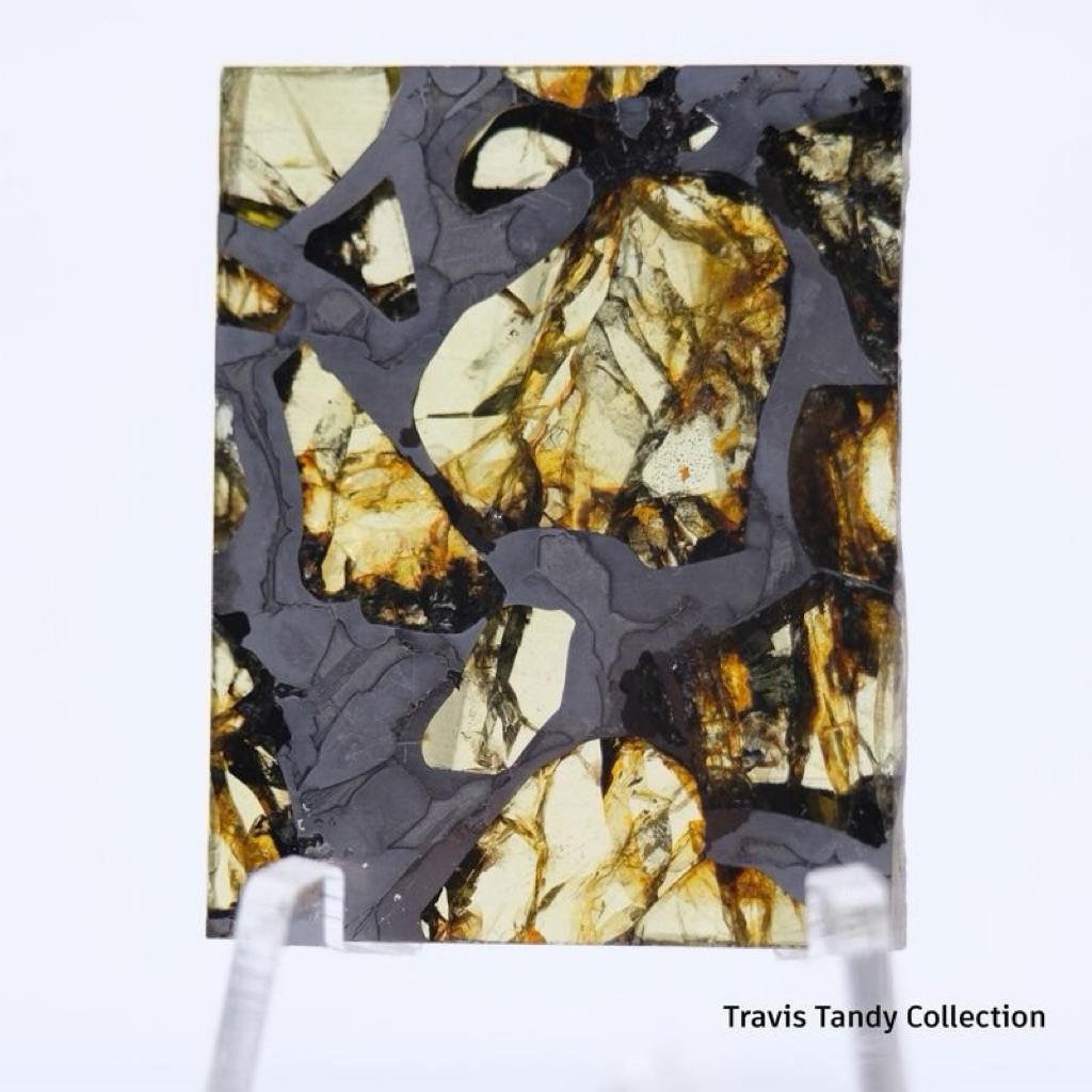 Esquel Pallasite Meteorite (Queen of Pallasite Meteorite) Batu Meteor Asli dan Langka Terdaftar Di E