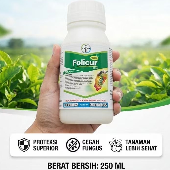 FOLICUR GOLD 100ml & 250ml original - meningkatkan kualitas hasil panen