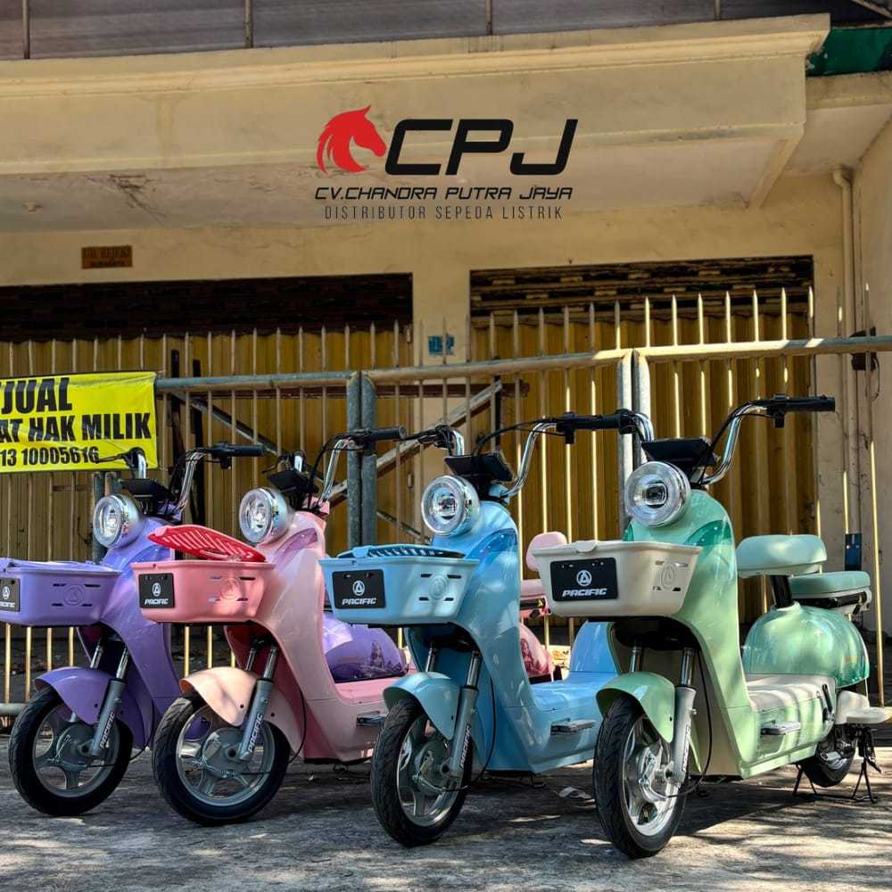 exotic VENTURA M4 Sepeda Listrik