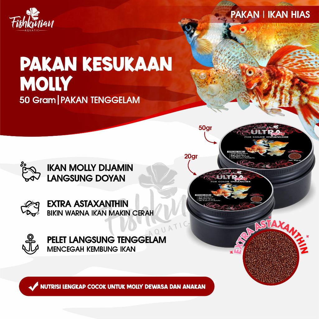 Fishkinian | Ultra Molly Pakan Ikan Hias Premium - Molly Guppy Udang Hias
