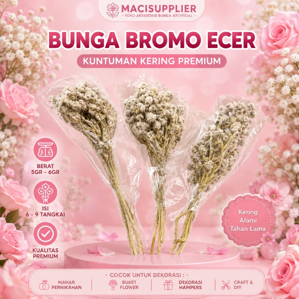 MACISUPPLIER bunga edelweis kering bunga edelweis bromo budidaya bunga bromo ecer bunga edelweis bro