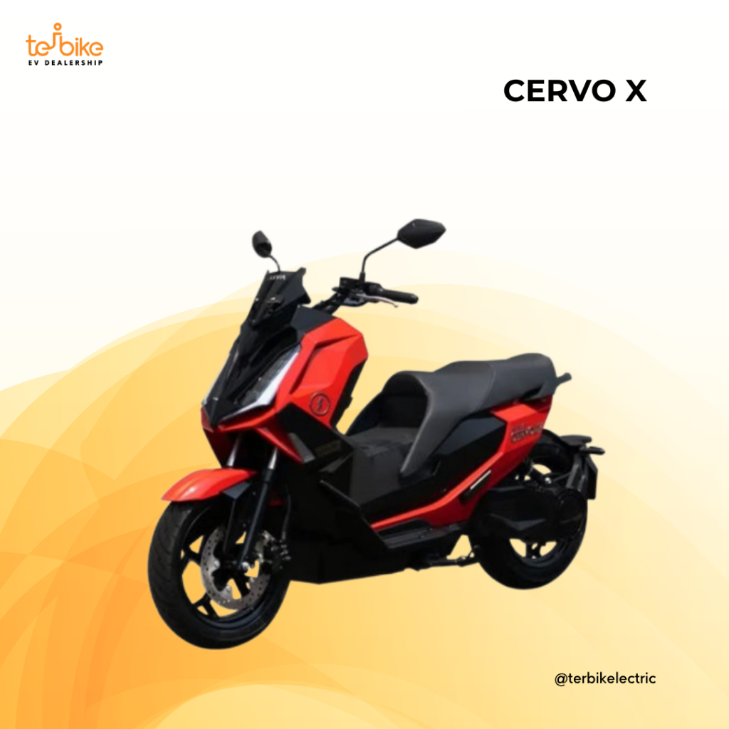 ALVA CERVO X