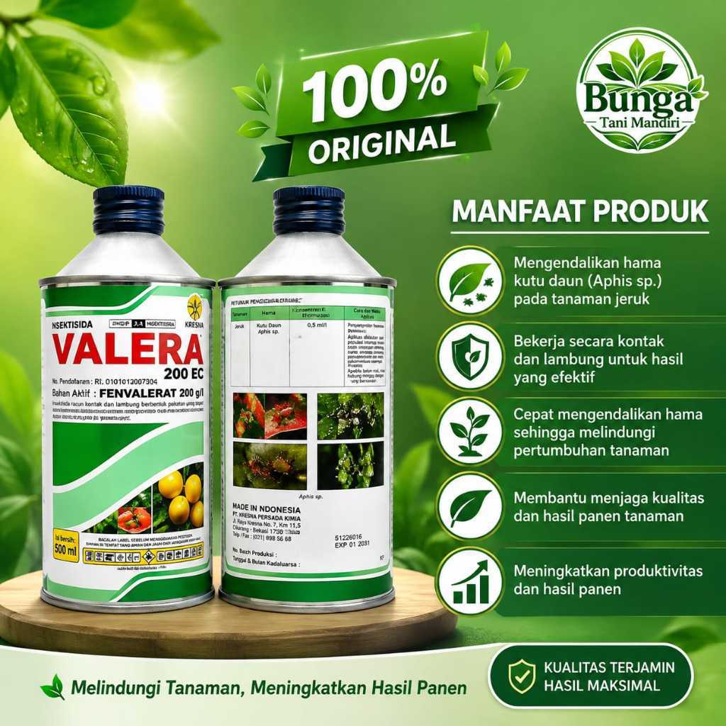 Insektisida Valera 200 EC Bahan Aktif Fenvalerat 200 g/l 500 ml | BUNGA TANI MANDIRI