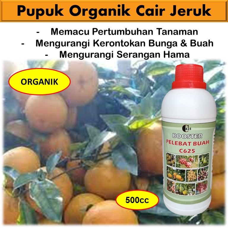 Pupuk Organik Cair Pelebat Buah Jeruk / Booster Jeruk / Pupuk Jeruk Limo / Pupuk Jeruk Santang / Pup