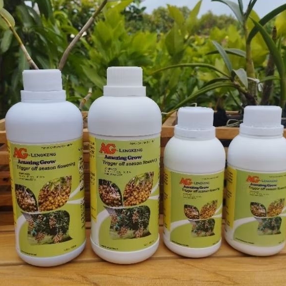 Lengkeng Booster 500 ml Amazing Grow