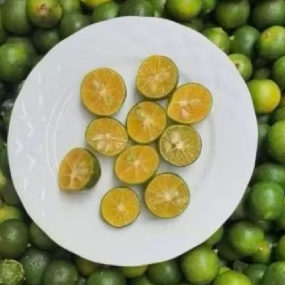 Jeruk Sonkit Segar 1kg