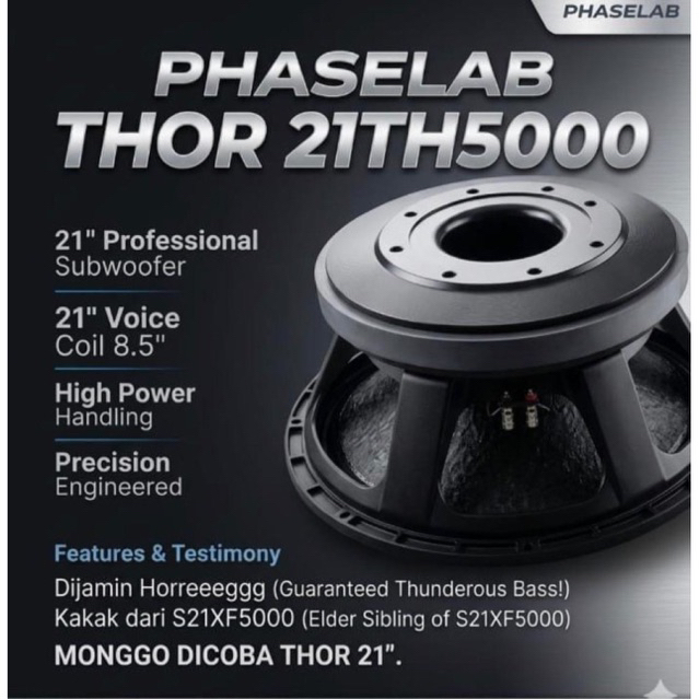 SPEAKER COMPONENT PHASELAB THOR 21TH5000 ORIGINAL