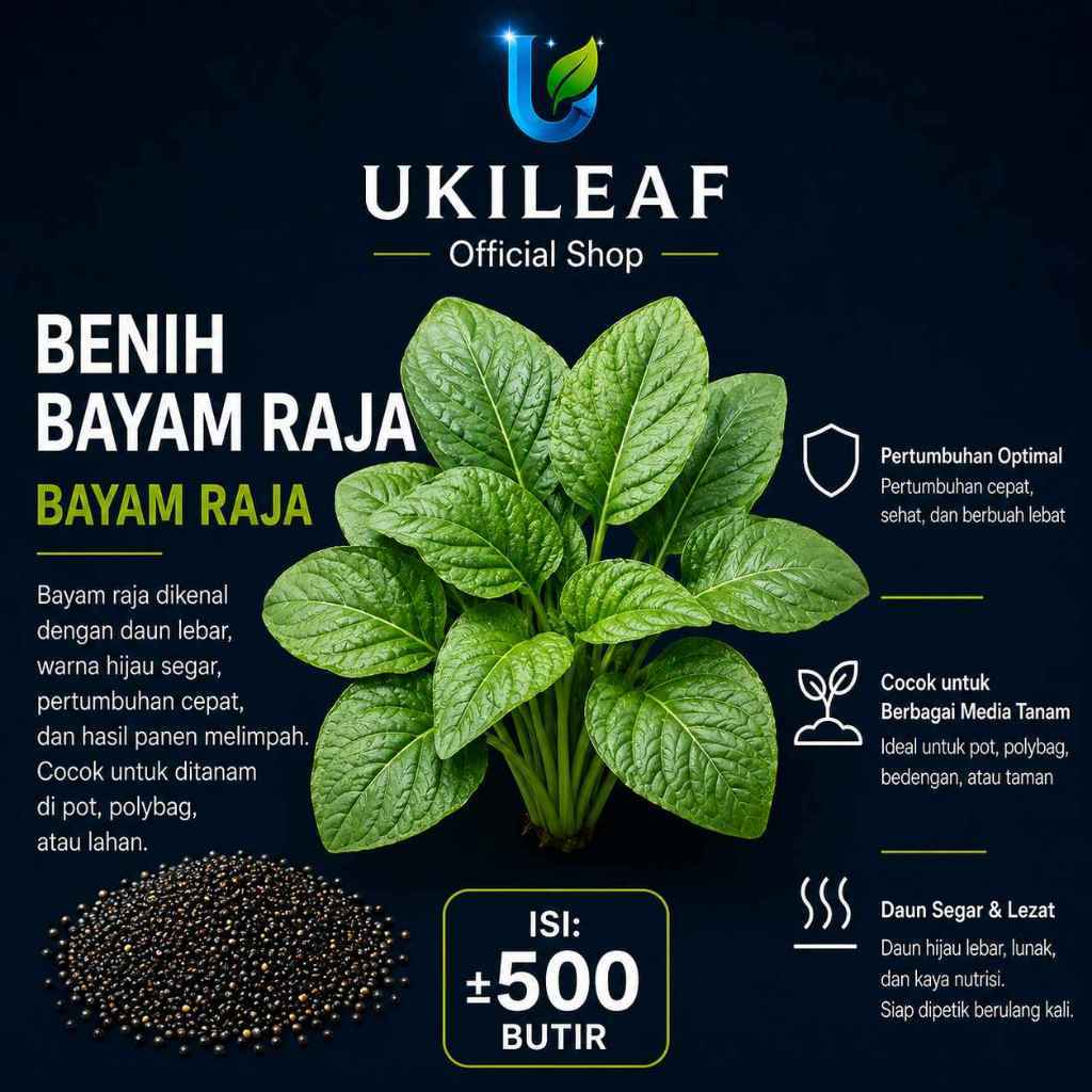 ( 500 Butir ) Benih Biji Bayam Raja | Bayam Petik | Bayam Kakap | UKILEAF