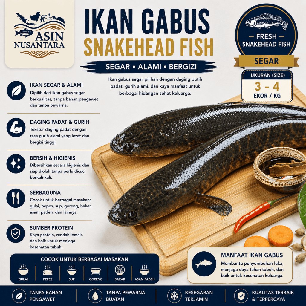 IKAN GABUS | SNAKEHEAD FISH | FRESH