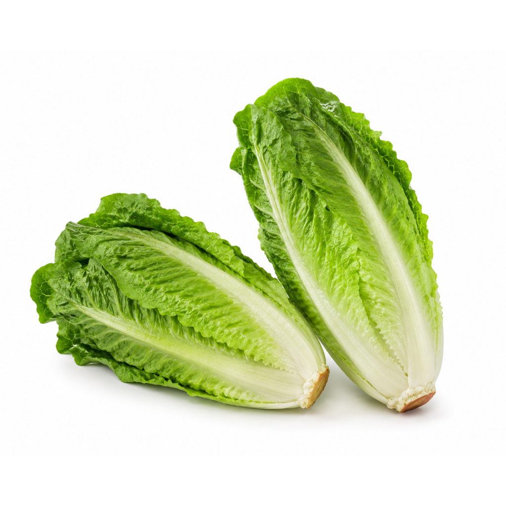 Romaine Lettuce