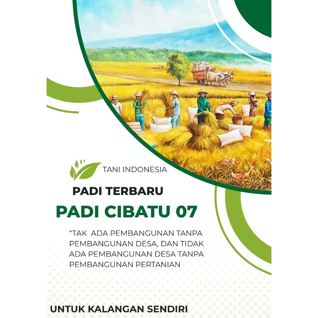 BIBIT BENIH PADI CIBATU 07 ORIGINAL KEMASAN 5 KG