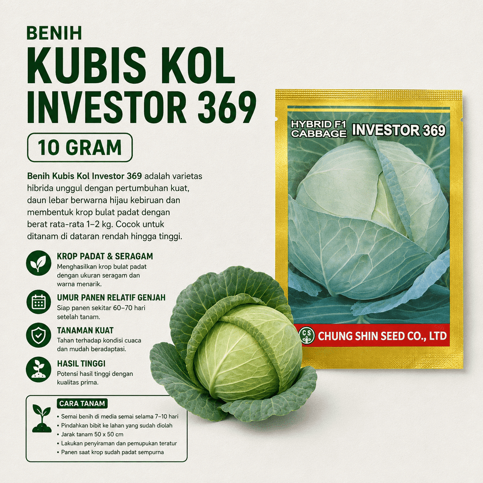 BENIH KUBIS KOL INVESTOR 369 10 GRAM