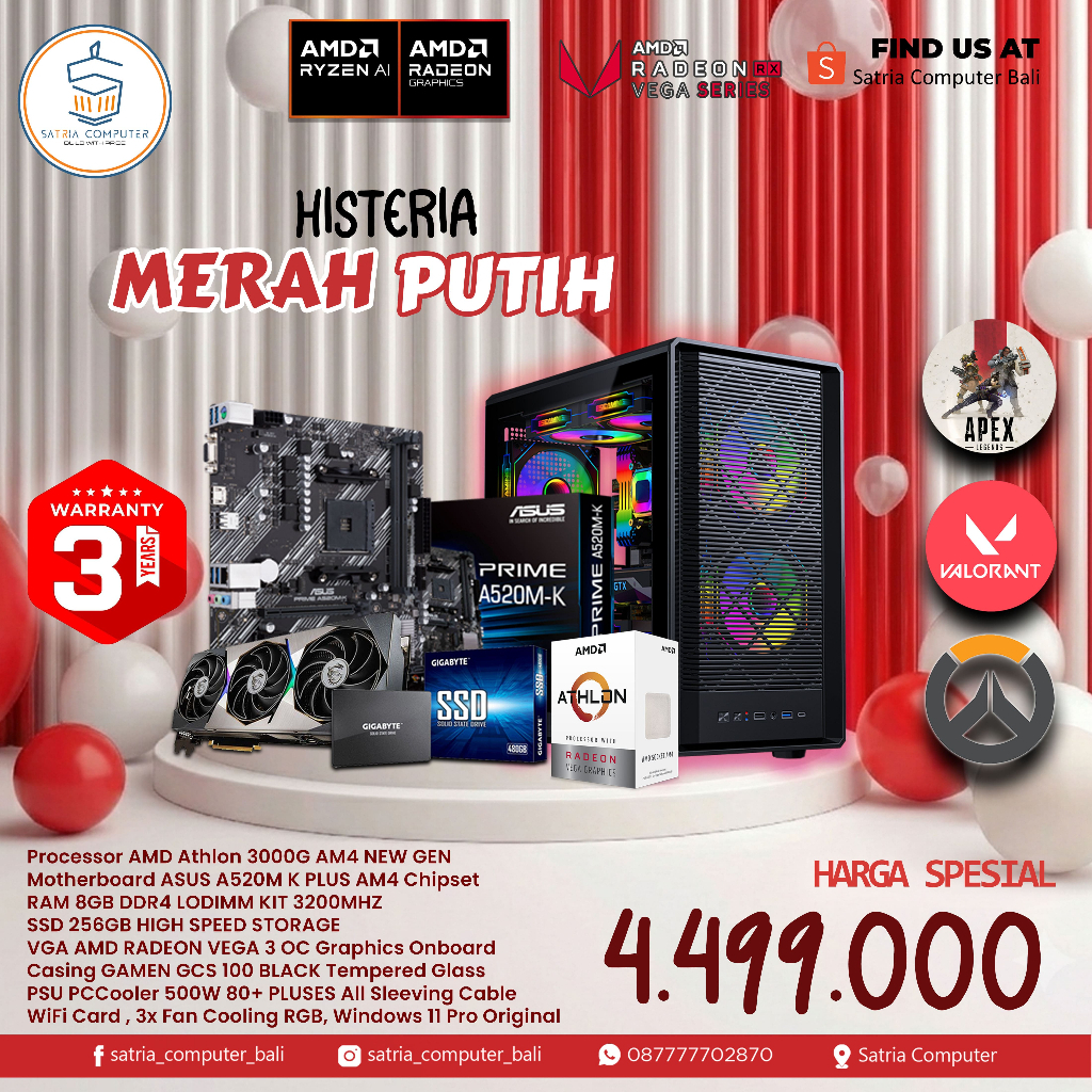 PC / Komputer Gaming AMD Athlon 3000G 8GB 256GB Windows 11