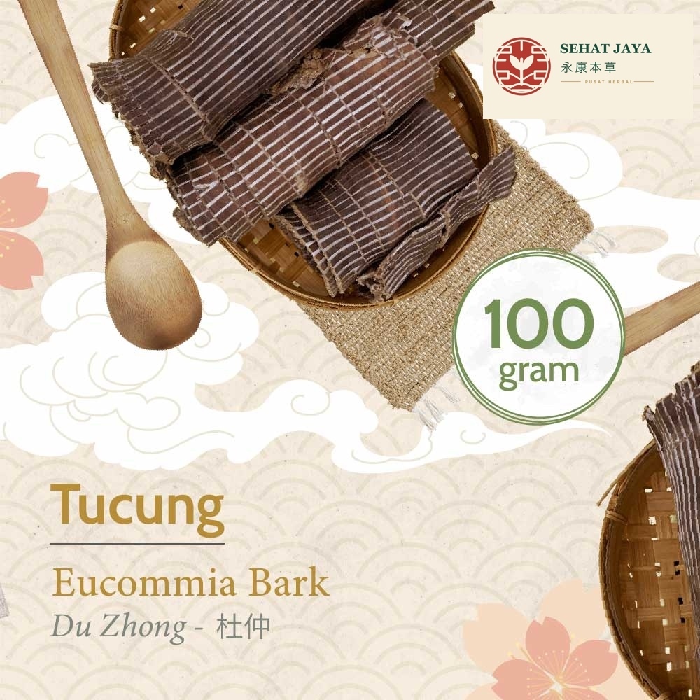 Du Zhong 100 gram  / Eucommia Bark / Tucung