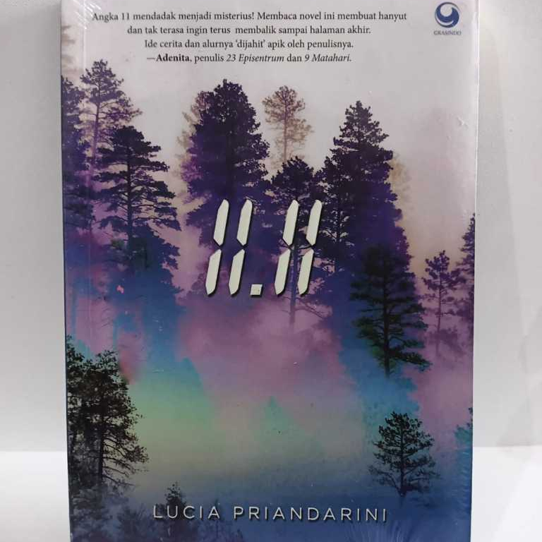 Buku Novel Angka 11 Adenita Lucia Priandarini