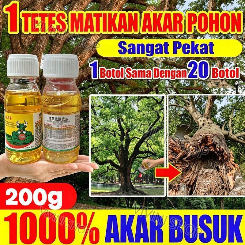 Herbisida Pembunuh Pohon Besar Racun Kayu Besar Paling Ampuh Racun Bambu Dan Rumput Herbisida Sistem