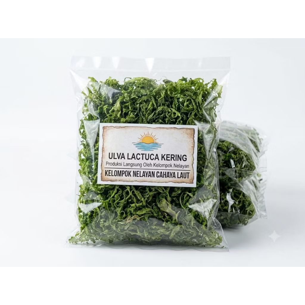 Rumput Laut Ulva Lactuca (Selada Laut) Kering 1/2 Kg