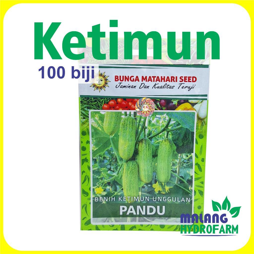 Benih Ketimun Pandu 100 biji Cap Bunga Matahari Mini dataran rendah menengah bibit biji mentimun tim