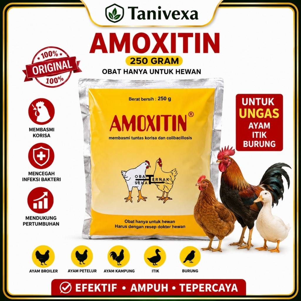 AMOXITIN NF 250G Obat Hewan Antibiotik Amoxicillin untuk Ayam Unggas Korisa Colibacillosis Pullorum 
