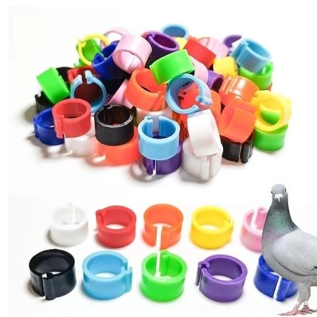 Ring Burung Plastik Untuk Burung Finch Dll ring clip polos merpati balap pos