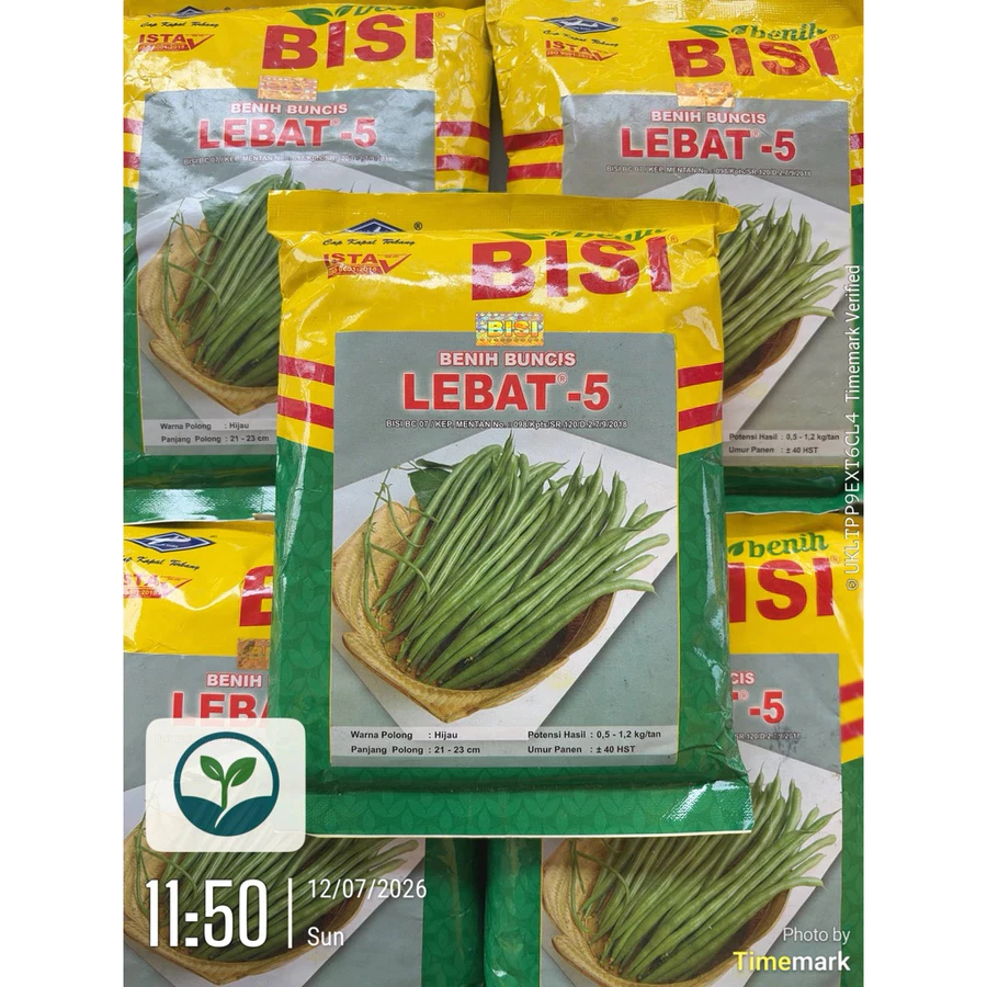 Benih Buncis Lebat -5 Original Benih BISI Berat 500g - Berbuah Lebat, Panjang Polong