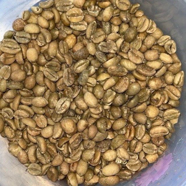 [GREEN BEAN] KOPI EXCELSA PREMIUM