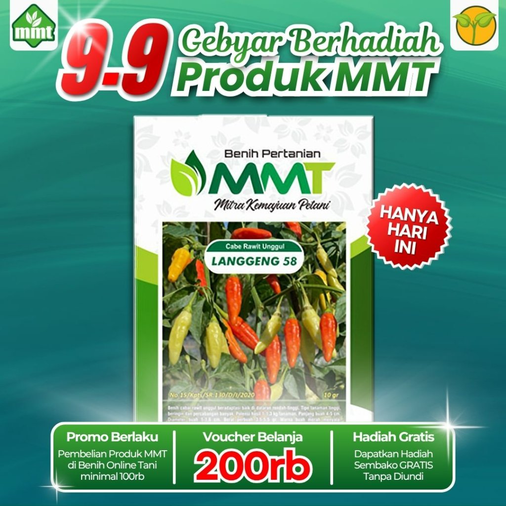 BENIH CABAI RAWIT UNGGUL LANGGENG 58 10 GR MMT