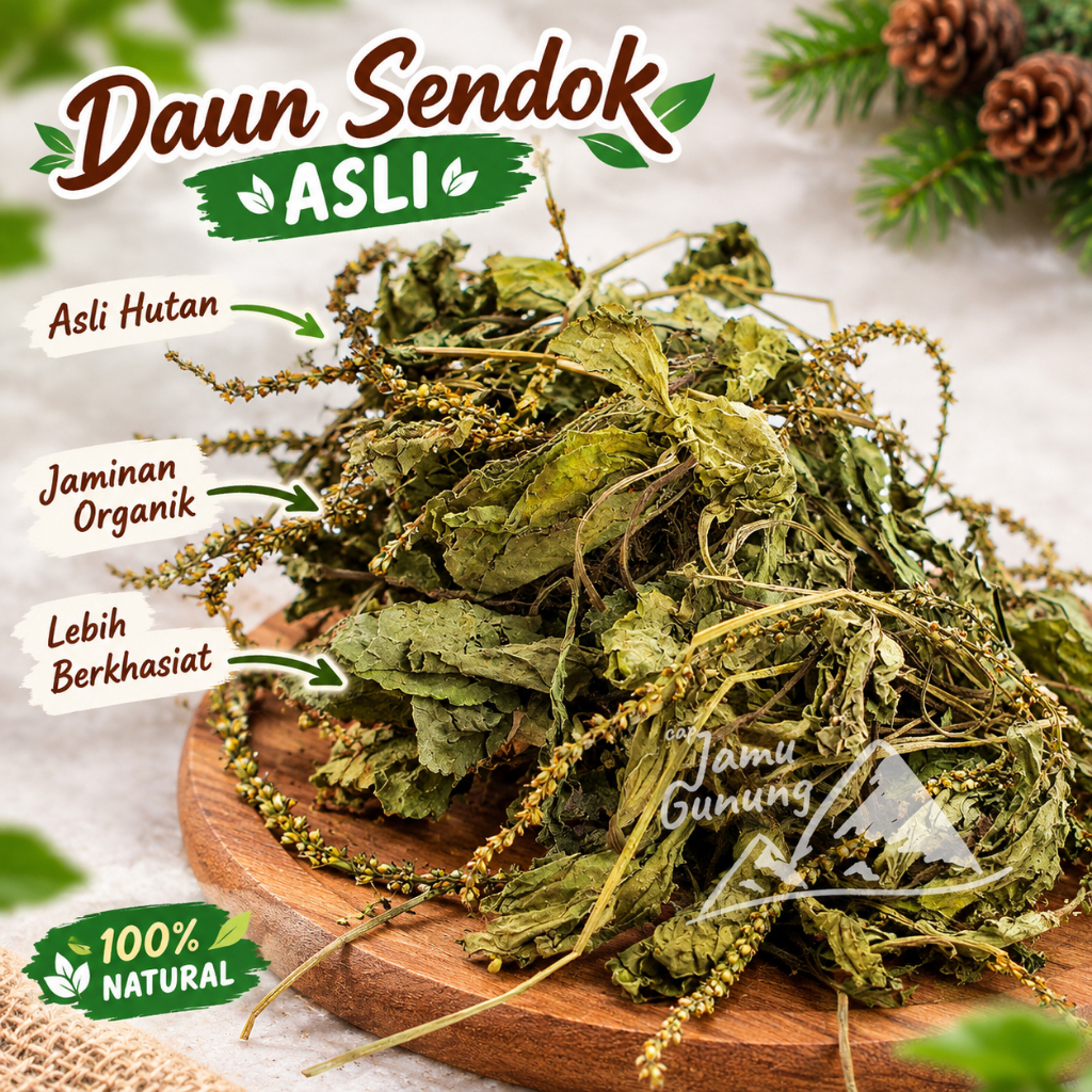 Daun Sendok Kering 250gr Sendokan Asli