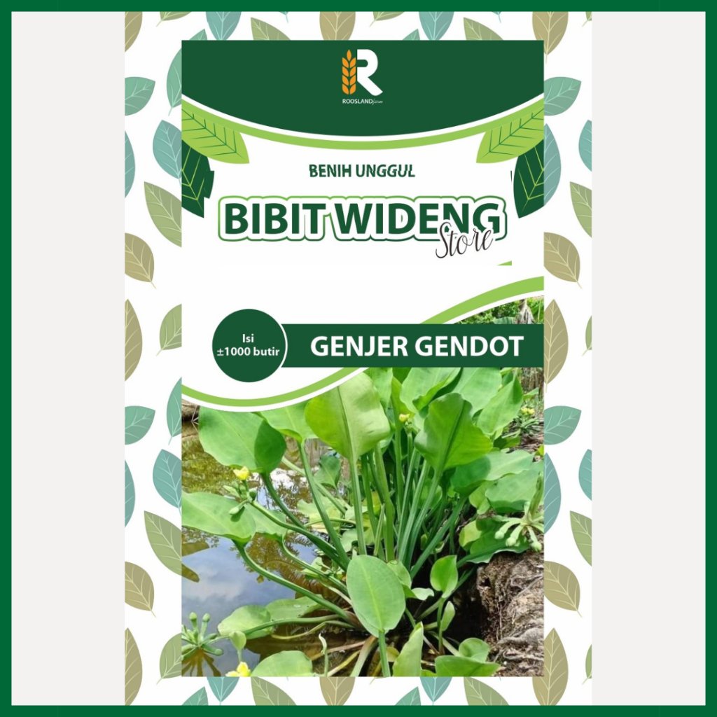 ( 1.000 BENIH ) GENJER GENDOT | SAYUR GENJER | DAUN GENJER SAYUR