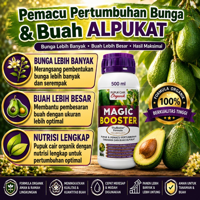 PEMACU PERTUMBUHAN ALPUKAT, BUNGA DAN BUAH ALPUKAT, MAGIC BOOSTER ALPUKAT, BOSTER ALPUKAT