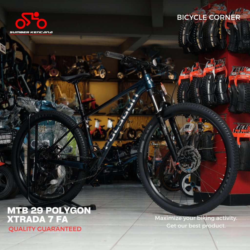 SEPEDA MTB 29 POLYGON XTRADA 7 FA