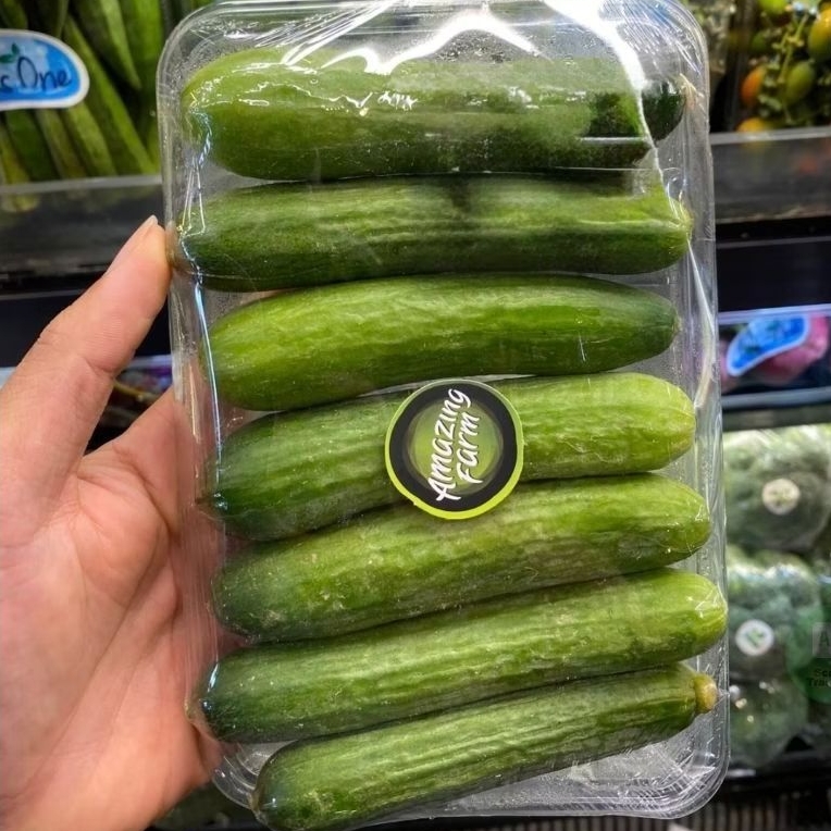 Timun Baby Fresh / Baby Cucumber/ Timun Mini 1 Kg