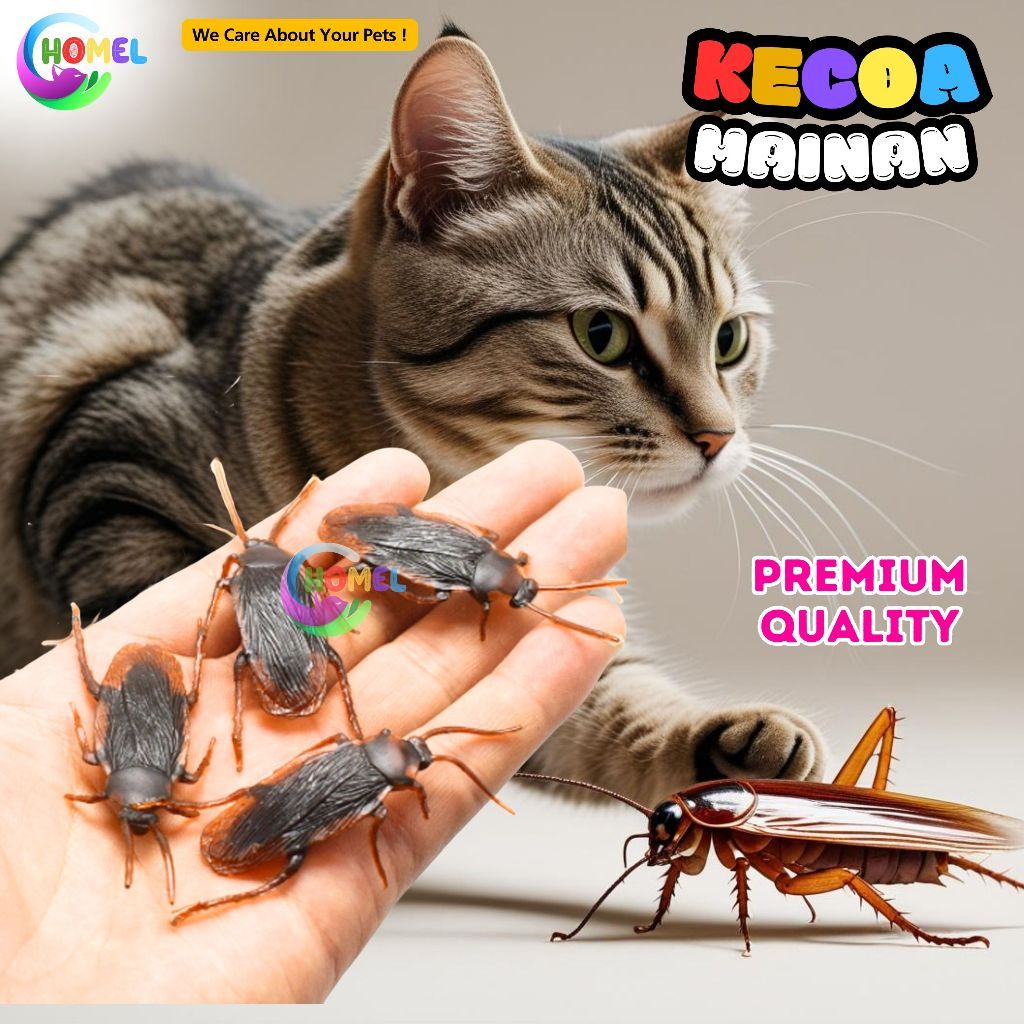 Kecoa Mainan Kucing Lucu KECOA MAINAN Kualitas Premium Mainan Interaktif untuk Kucing CHOMEL