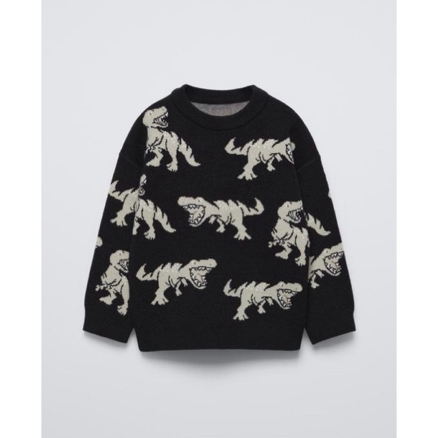 ZARA - Dinosaur Patterned Sweater