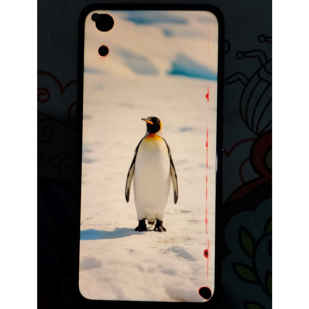 Vivo Z1 Pro 4/64 Bekas (Unit Only) MINUS LAYAR TOMPEL fungsi normal semua