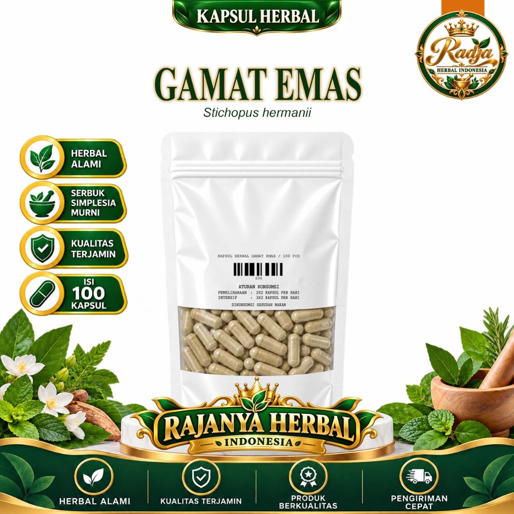 Gamat Emas Teripang Emas Kapsul Curah Herbal 100 Kapsul 600 mg Stichopus hermanii