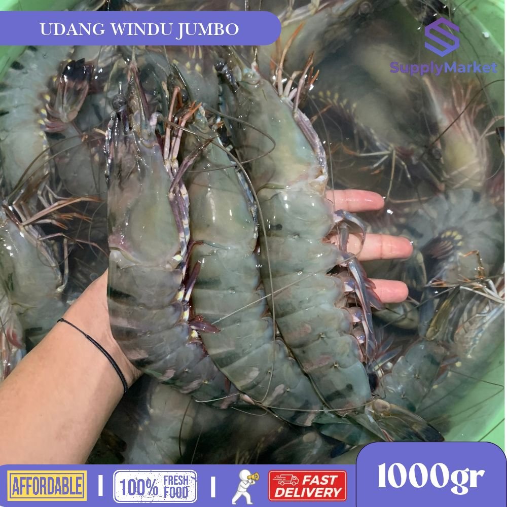 Udang Windu Super Jumbo Ukuran Seperti Di Produk 1kg - Supply Market
