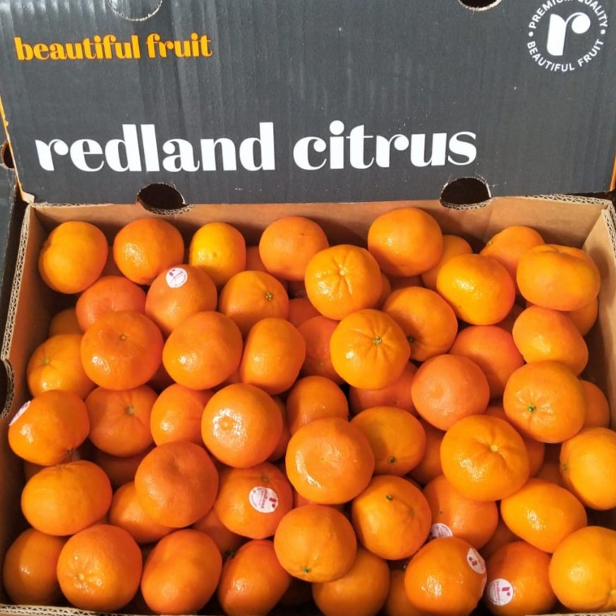 Jeruk Mandarin Afourer Seedlees | 900-1000GR