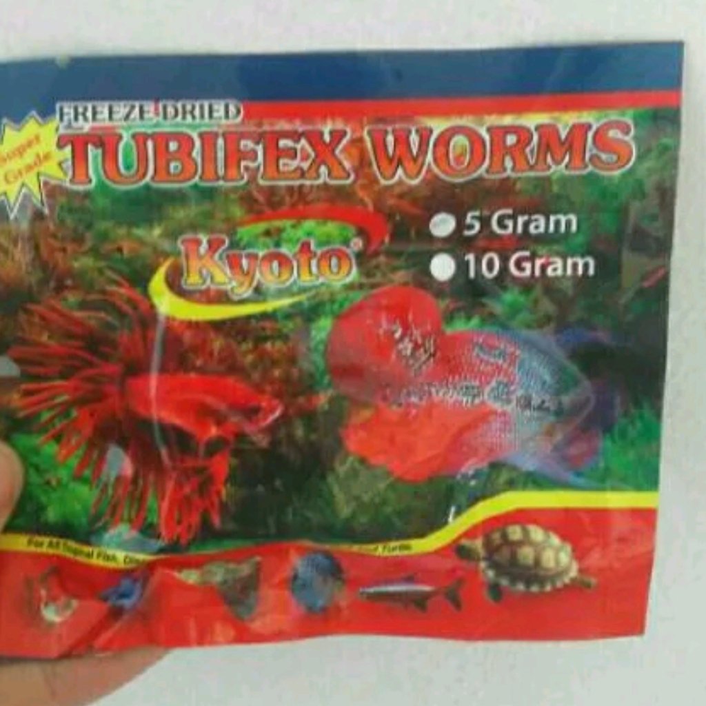 Cacing Kering Cacing Sutra 5gram