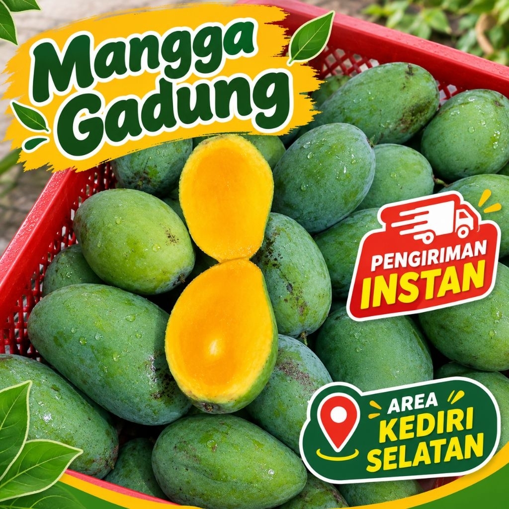 Mangga Gadung 1½kg Area Kediri Selatan buah mangga hijau