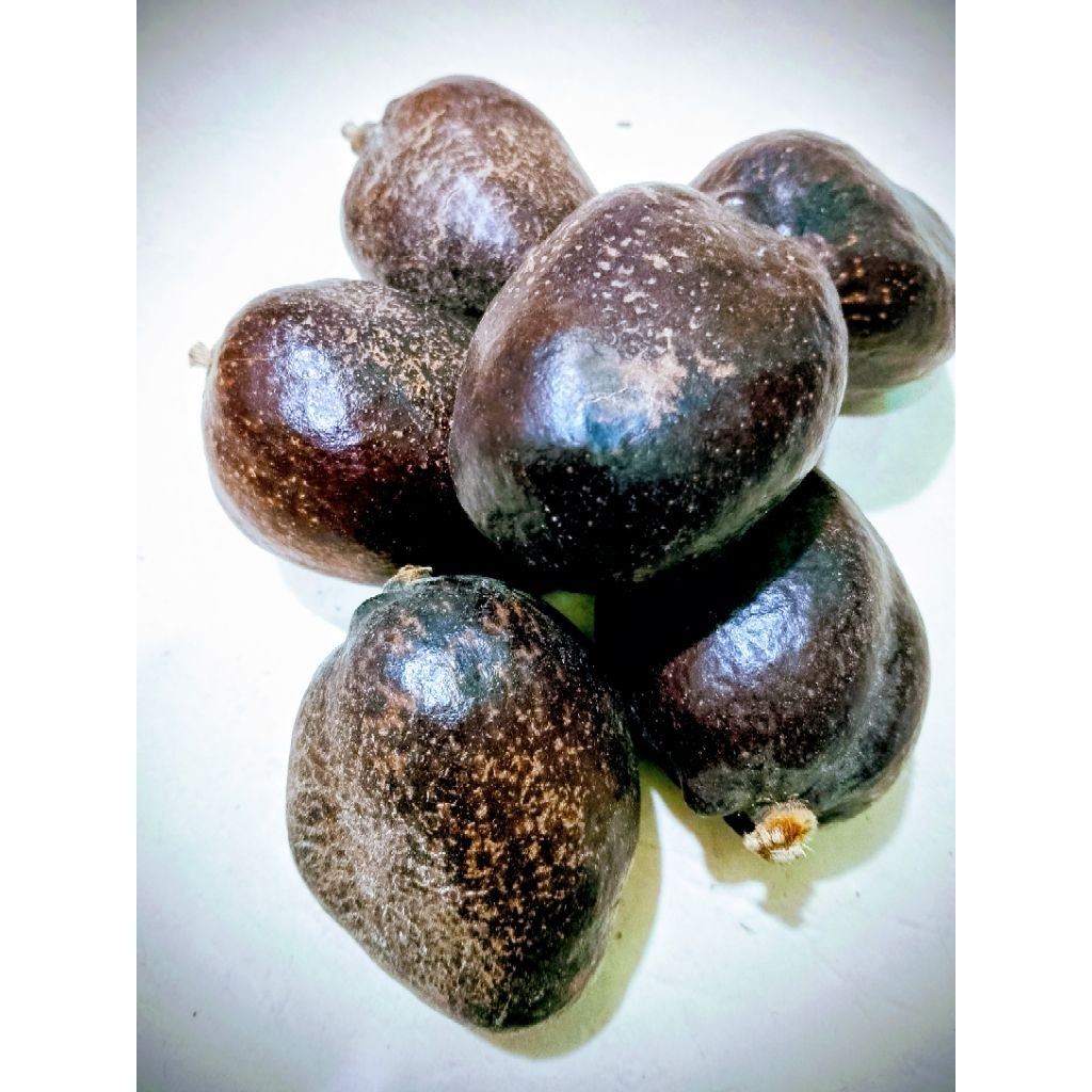 

Buah Zuriat Madinah kemasan 500gr buah untuk promil