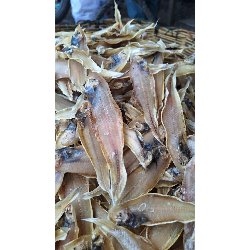 

Ikan Asin Lidah Super Gurih