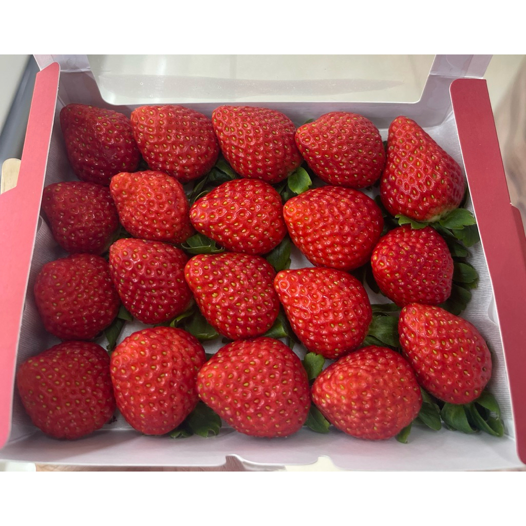 

Strawberry korea Fresh | Strawberry Korean Ground in Vertical Farm 250gram