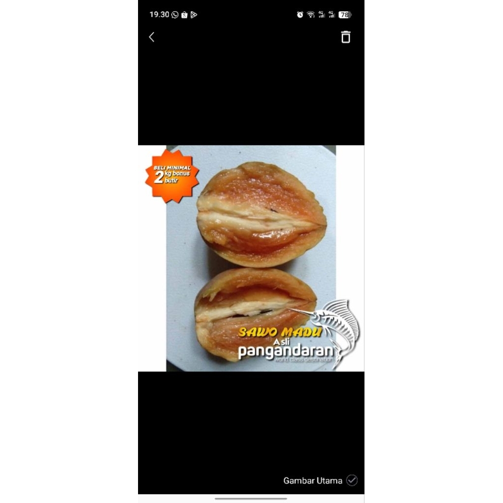 

Sawo Madu Murah Fresh